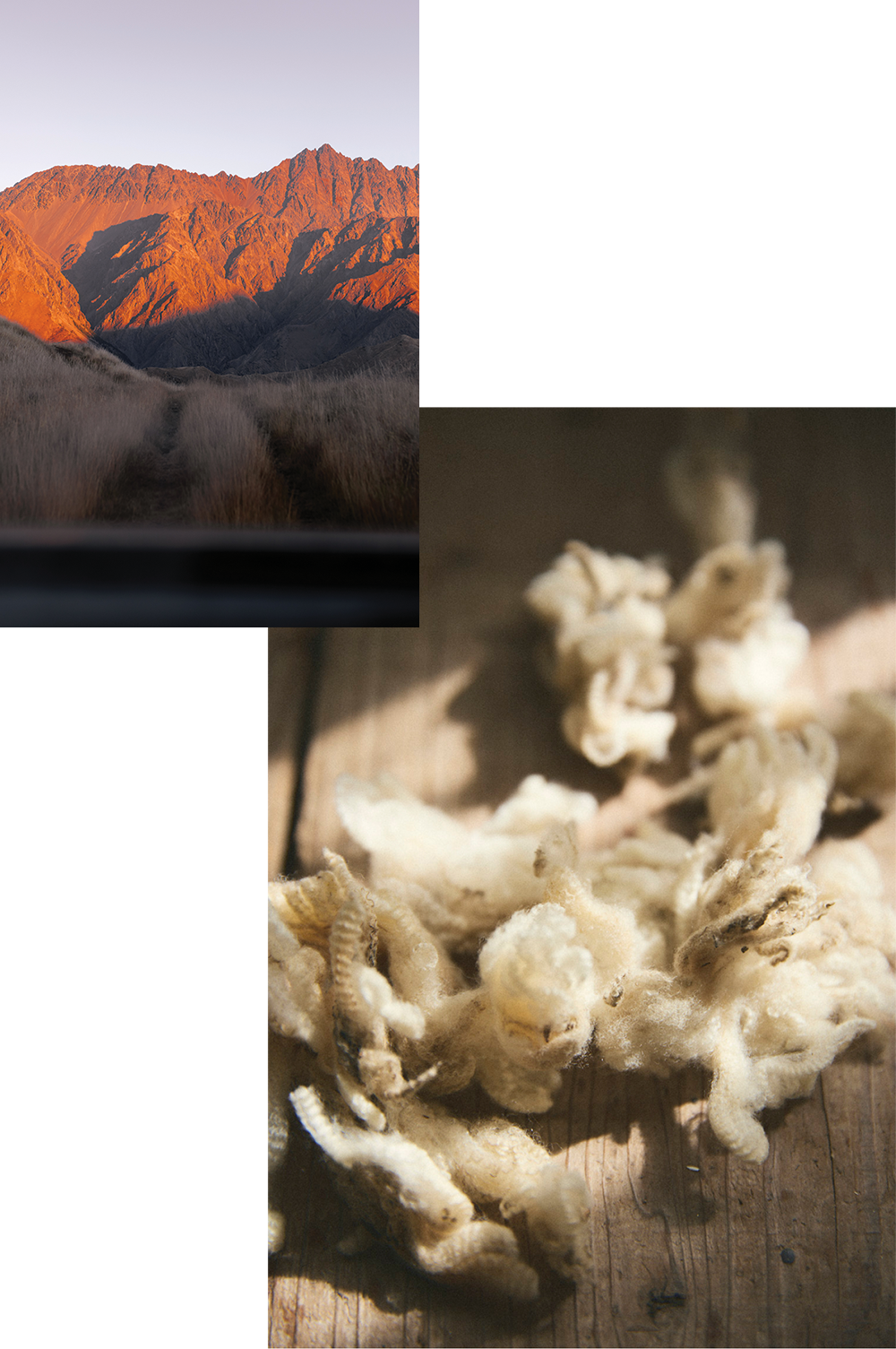 merino wool