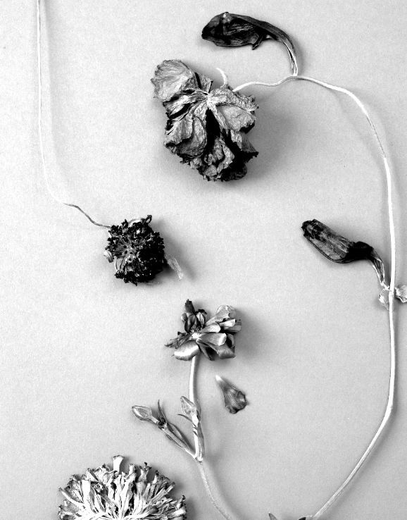 PETAL